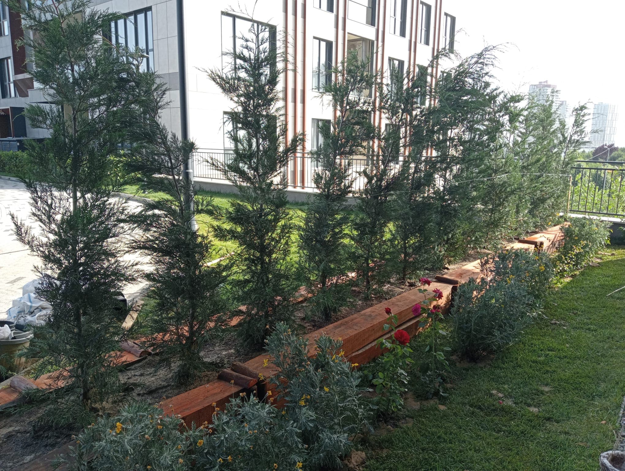 Park Mavera 4 Tahsisli Alan Peyzajı — 11