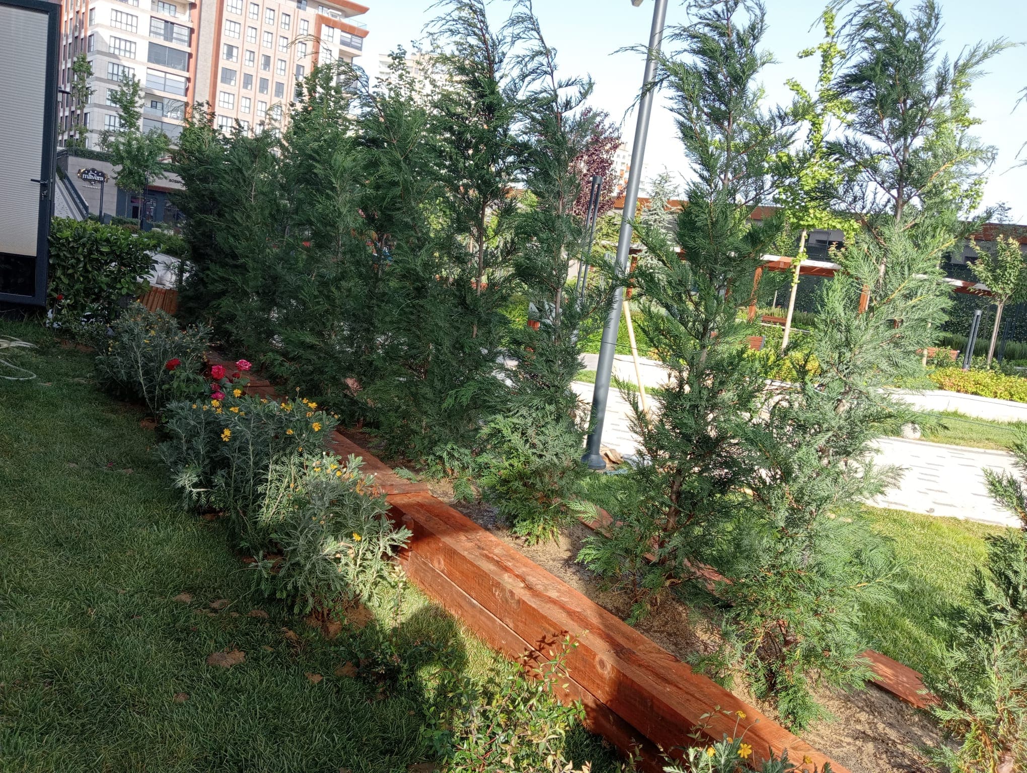 Park Mavera 4 Tahsisli Alan Peyzajı — 12