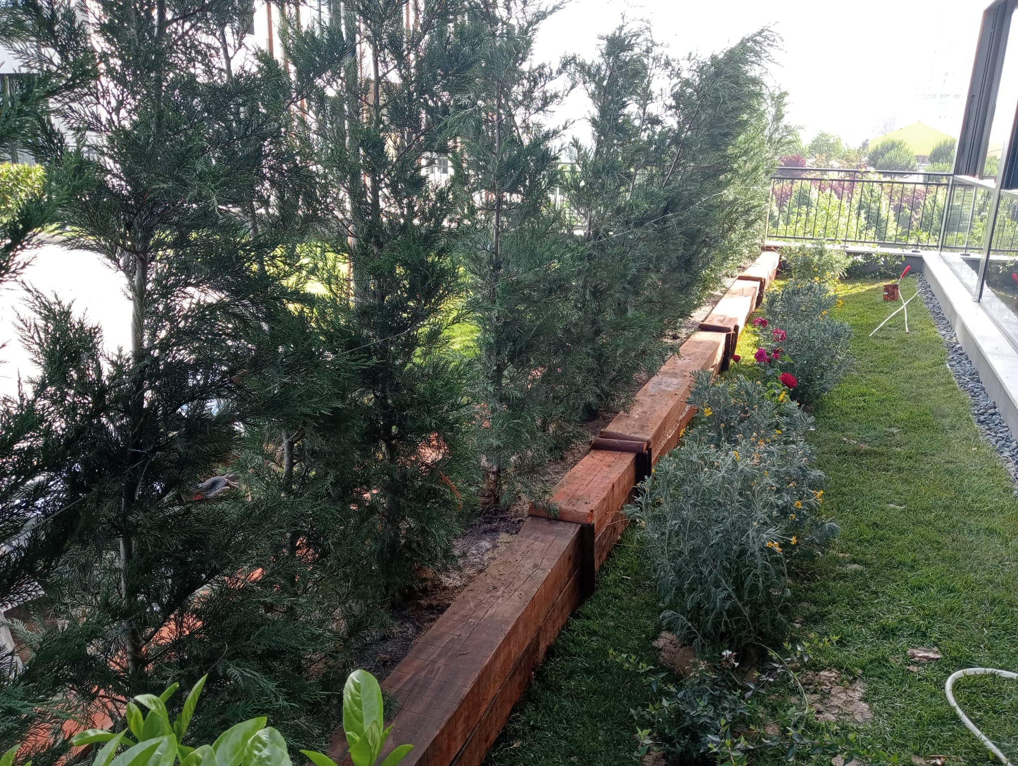Park Mavera 4 Tahsisli Alan Peyzajı — 13